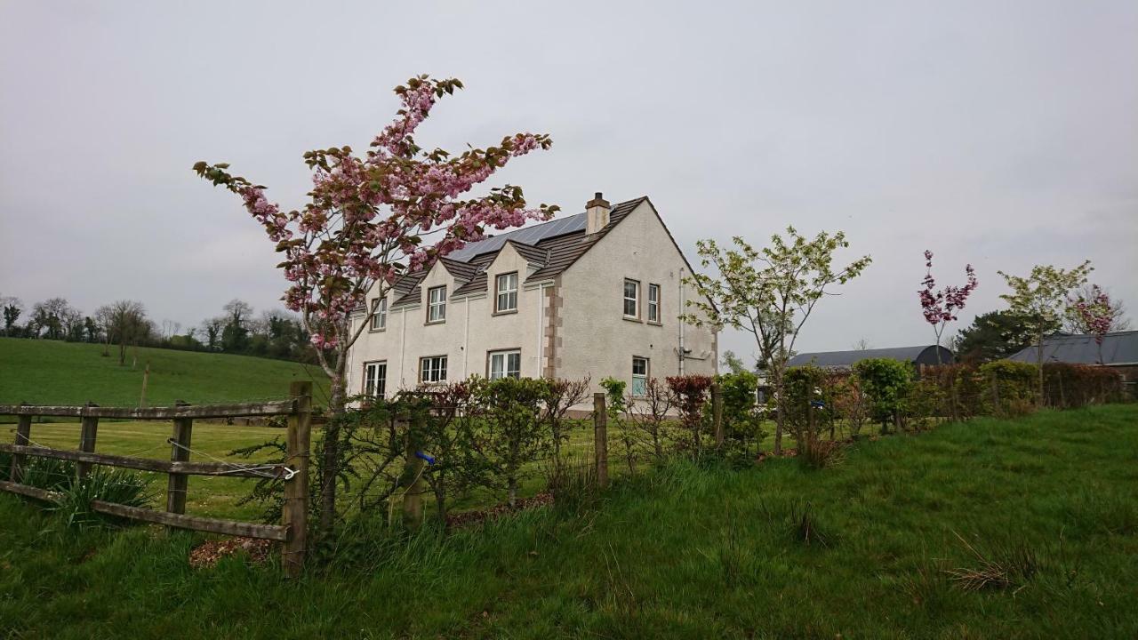 Laraghson House Guest House เอนนิสคิลเลน ภายนอก รูปภาพ