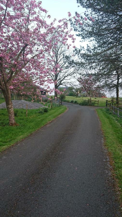 Laraghson House Guest House เอนนิสคิลเลน ภายนอก รูปภาพ
